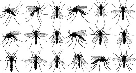 Mosquito silhouettes set, flying insect poses vector illustration, isolated black mosquito shapes collection for biology, medical, pest control, warning design projects © Beauty