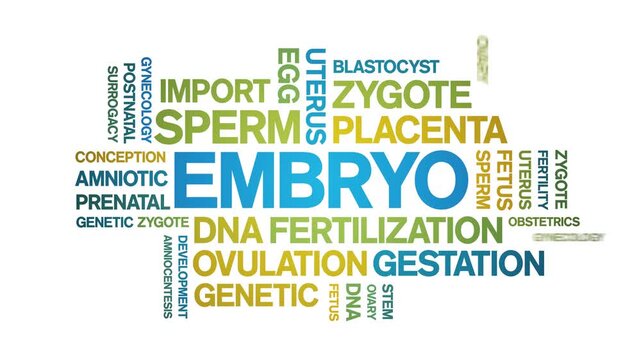 Embryo animated word cloud-text design animation tag kinetic typography seamless loop.