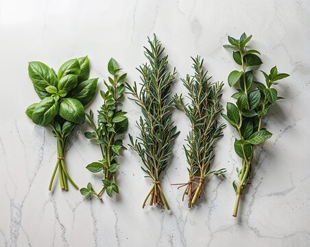 Assorted Aromatic Herbs with Rosemary Sprigs on Light Marble Surface, Clean Minimal Food Background