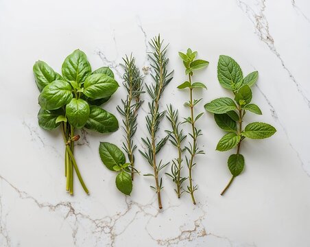 Natural Fresh Herbs Collection on White Stone Table, Healthy Cooking and Botanical Concept