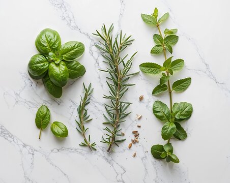 Green Herbal Leaves and Rosemary Branches on Marble Background, Organic Plant Based Ingredient Layout