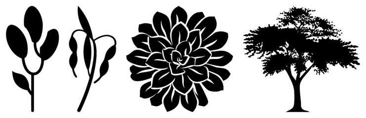 Fototapeta premium Vector plant illustrations with bold, stylized foliage, symmetry, and tree canopy, ideal for graphic design and branding.