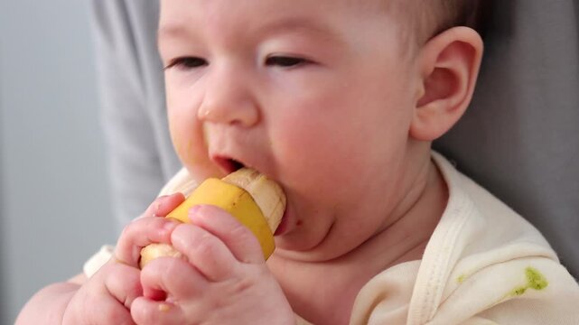  A baby picking and eating food from a sectioned plate with her fingers. The concept of weaning is based on the principle of "child-choosing food," independent feeding, healthy breakfast, and fine mot