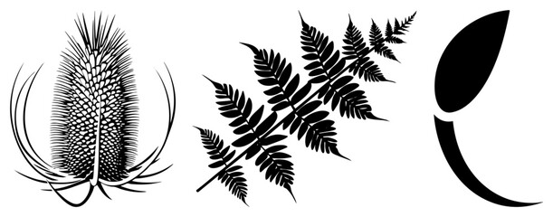 Fototapeta premium Stylized plant forms including teasel, fern frond, and abstract leaf, rendered as bold black vector shapes, ideal for eco design or nature themed branding.