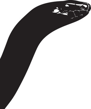 Deadly taipan silhouette showing elongated body and slender head clearly.