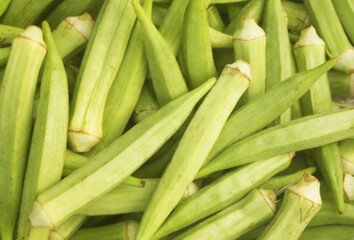 Fototapeta premium Fresh okra vegetables close up as background