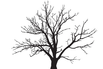 Fototapeta premium Black silhouette of a dry winter tree without leaves.Dead tree branch silhouette isolated on white background.Bare tree branches vector illustration.
