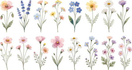 Collection of delicate pastel wildflowers and botanical stems in soft watercolor style, ideal for spring designs, wedding invitations, greeting cards, textile prints and decorative floral compositions © Mehadul Expressive