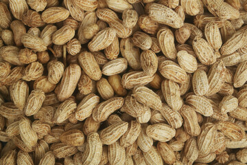 Fototapeta premium Many raw peanuts as background