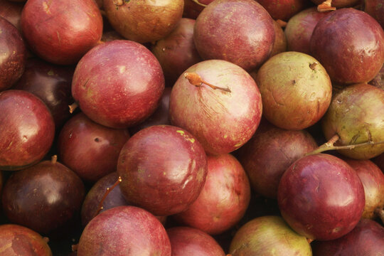 Star apple fruit or cainito as background