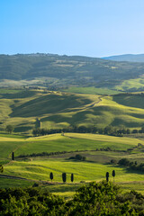 Toscany Countryside