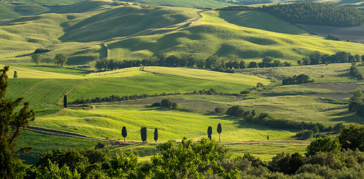 Toscany Countryside