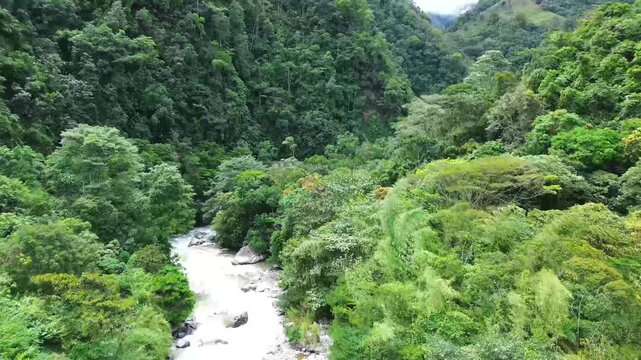 Choc&oacute; is a wild and vibrant region on Colombia&rsquo;s Pacific coast, known for its dense rainforests, powerful rivers, stunning biodiversity, and rich Afro-Colombian traditions deeply connected to nature.