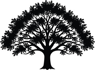 Obraz premium Silhouette of large deciduous tree symmetrical trunk canopy branches leaves balanced shape nature design illustration