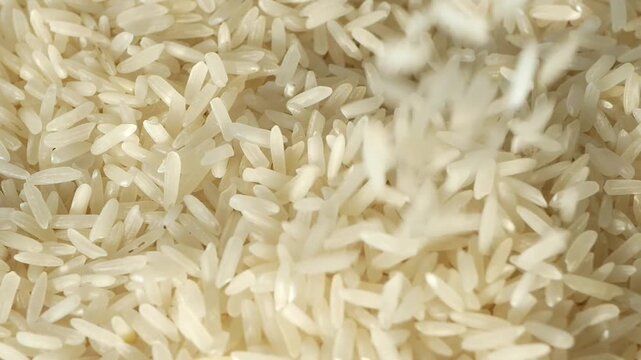 Close up of uncooked white rice grains falling and scattering in slow motion