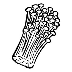 えのきの線画イラスト