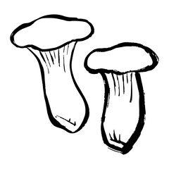 エリンギの線画イラスト