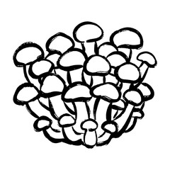 しめじの線画イラスト
