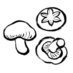 しいたけの線画イラスト
