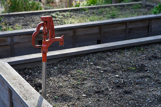 Empty raised wood garden bed with red iron pipe with water spigot sticking out of dirt, sunny winter day outside
