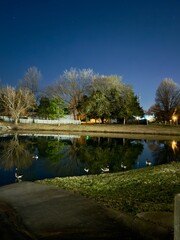 Fototapeta premium park at night. Night landscape. A pond with geese and a star sky. USA 