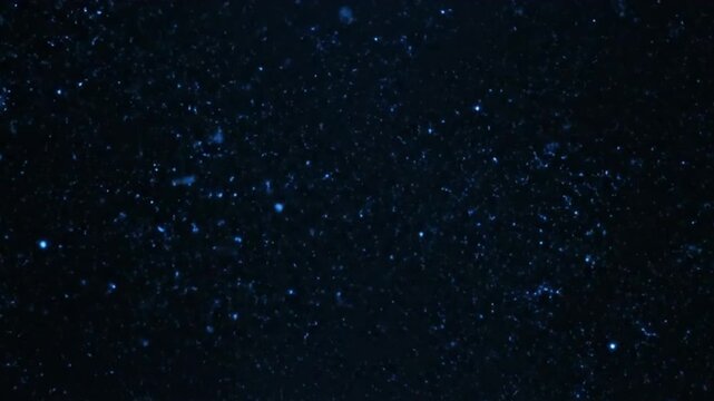 High contrast lens particle loop, bright particles against deep shadow background