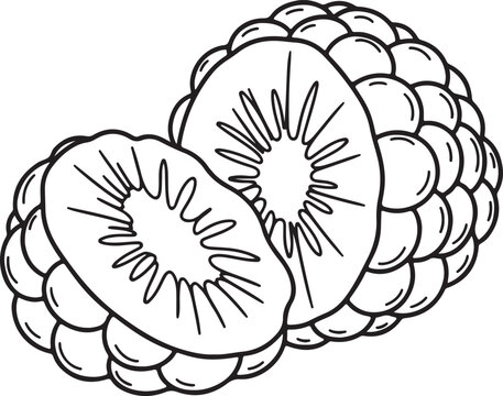 Raspberry Silhouette Vector Cut Slice Detail Healthy Food