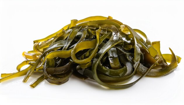 Isolated Laminaria Spirulina Fucus Litotamnia Seaweed White Background