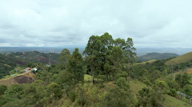The scene shows vibrant green hills with a mix of trees and distant cityscape under a cloudy sky.