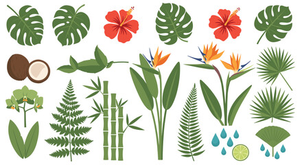 Naklejka premium Vibrant Tropical Botanical Elements Featuring Exotic Flowers Bamboo Ferns Coconuts and Lush Greenery for Nature Designs