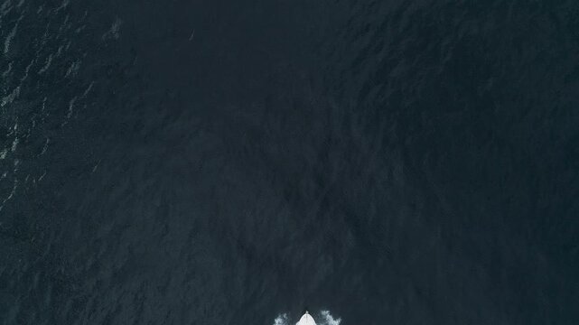 Aerial top view overtakes speedboat leaving only open sea.