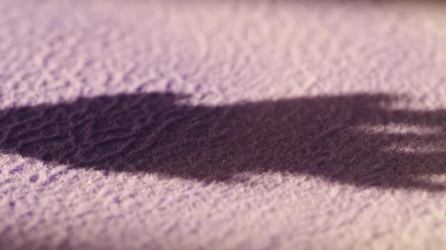 Close-up of a dark shadow cast on a textured, pinkish-purple surface with a rough, bumpy terrain.
