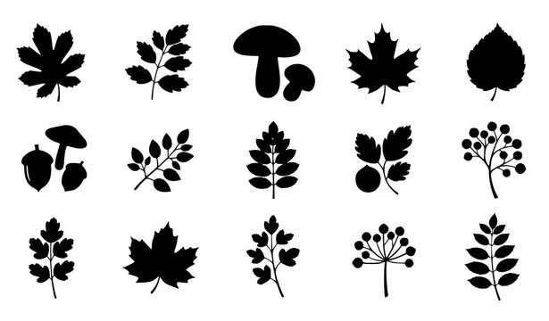 autumn, fall, botanical, silhouette, leaves, mushroom, berries, nuts, acorn, plant, forest, nature, foliage, seasonal, harvest, woodland, organic, natural, handdrawn, flat, illustration, vector, colle