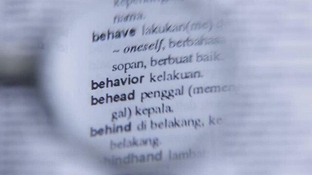 Observing Behavior with Magnifying Glass &ndash; Close Examination Concept