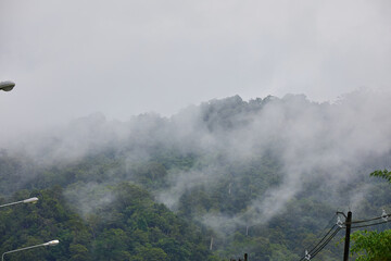 Fototapeta premium Misty Green Mountain Forest with Power Lines