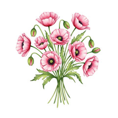 Obraz premium A bouquet of pink poppies on a white background