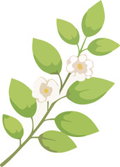 식물, 초록, 자연, 잎사귀, 신선함, 유기농, 나뭇잎, 네이처, 단풍, 나무, 가지, 봄, 신선, 성장, 새로운, 줄기, green, 여름, 식물학, 새싹, 새순