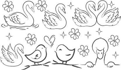 hand drawn swan and love bird outline doodle art, Crayon pencil line art style, elegant minimalist drawing of swans and love birds in clean black ink lines, isolated on white background. vector design © Mashuda