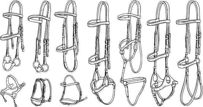 Detailed line art illustration set showcasing various horse bridles and equestrian tack types, including snaffle, double bridles, bits, and different nosebands.