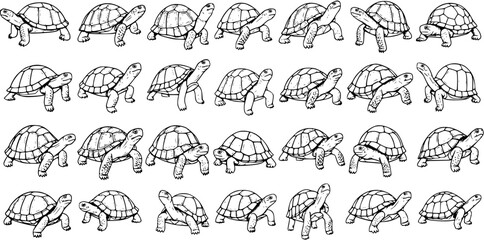 A charming collection of hand-drawn cartoon turtles in various poses, perfect for children's books and animal-themed designs.