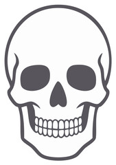 Fototapeta premium Simple human skull graphic illustration icon. Front view of a skeleton head for Halloween or death symbol.