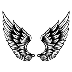 Fototapeta premium wings vector illustration
