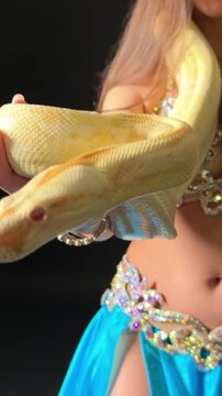 Exotic Belly Dancer Posing with Yellow Python