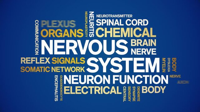 Nervous System animated word cloud-text design animation tag kinetic typography seamless loop.
