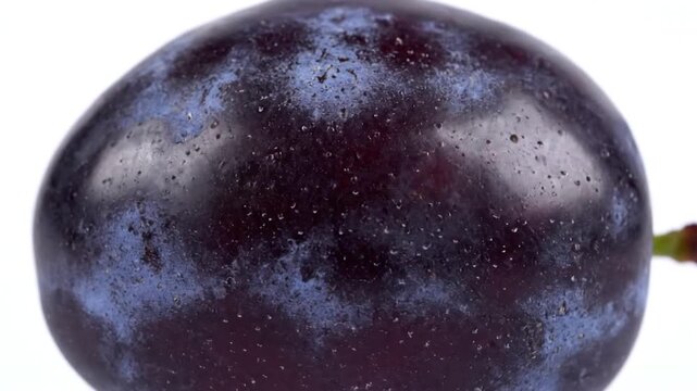 Ripe dark purple plum fruit on clean white background studio shot