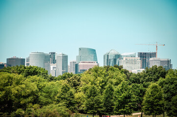 Obraz premium D.C. Skyline Through Trees