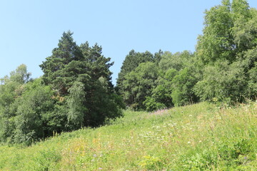 Obraz premium Alpine meadows on the slopes of Mount Cheget on a sunny summer day