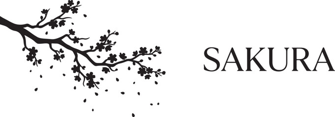 Black and white of a cherry blossom branch with scattered petals and text also transparent background © PixelSaga MH2 