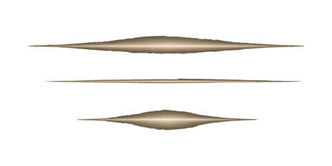 A single black and gray bird of paradise quill feather is isolated on a white background as a macro nature object once used as a writing tool with ink