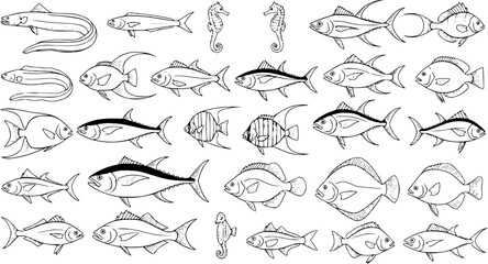 Fish Variety Line Art Illustration: Ocean Life, Sea Creatures  Seafood Design Elements © pixsource